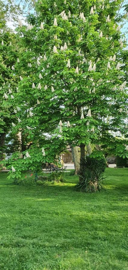 B&B Le Domaine Des Marcoujans Saint-Elix-le-Chateau Exteriör bild